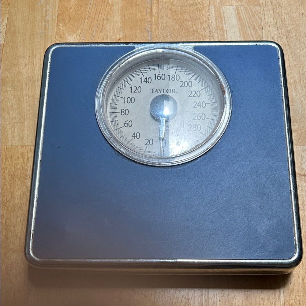 Taylor Classic Blue Analog Scale